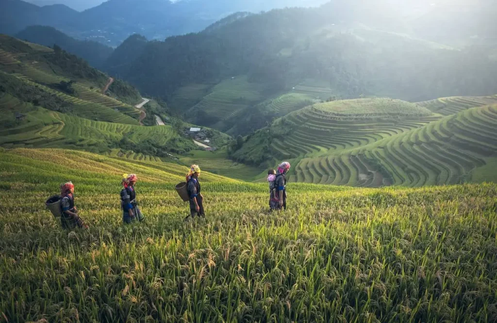Benefits of Integrated Plant Protection