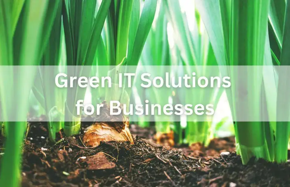 Green IT Solutions for Businesses: Sustainability Through Technology