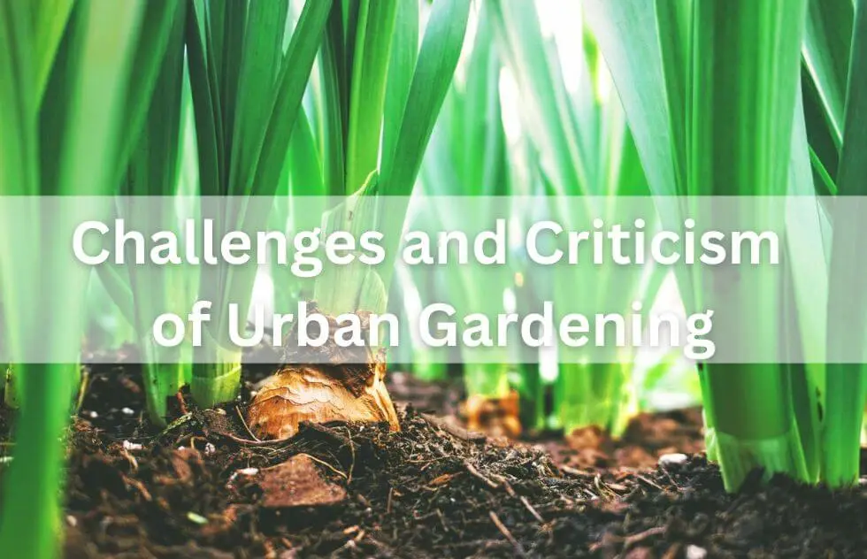 Challenges and Criticism of Urban Gardening
