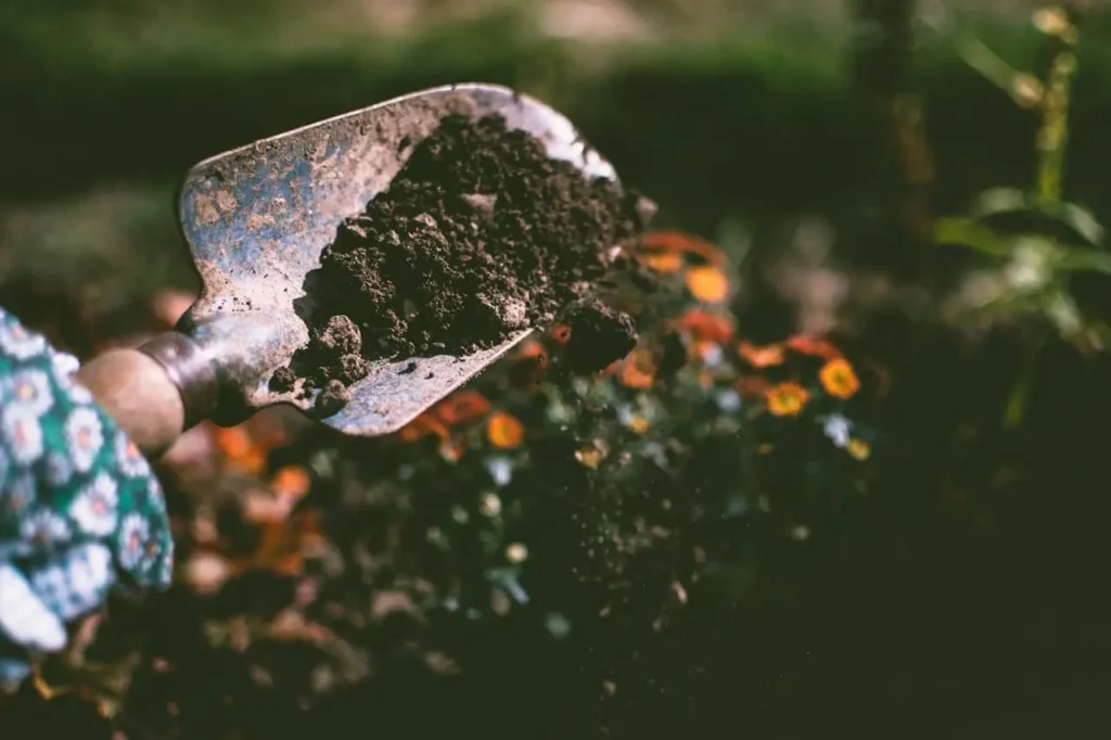 How to Get Started: Urban Gardening for Beginners